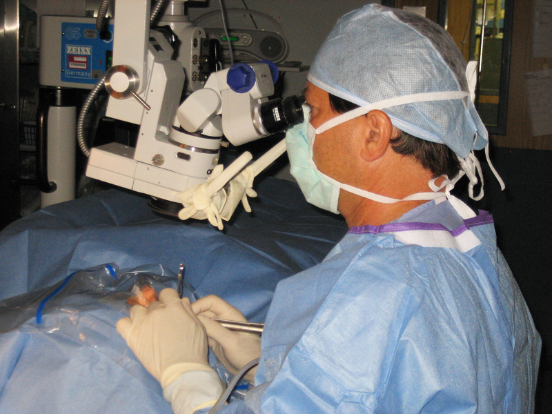 Dr. Friedberg conducting a surgery image