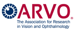 ARVO logo image